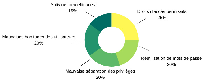 Élements facilitateurs de compromission de réseaux internes