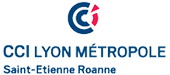 logo-lyon-metropole